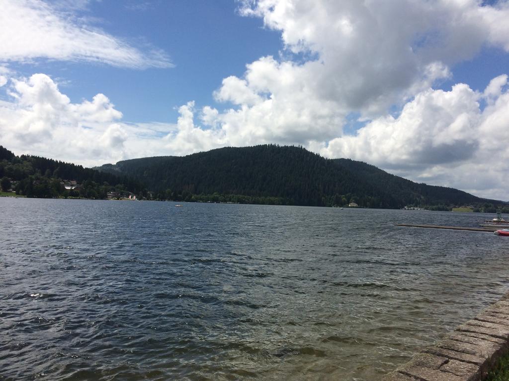 L'Ecureuil Daire Gérardmer Dış mekan fotoğraf